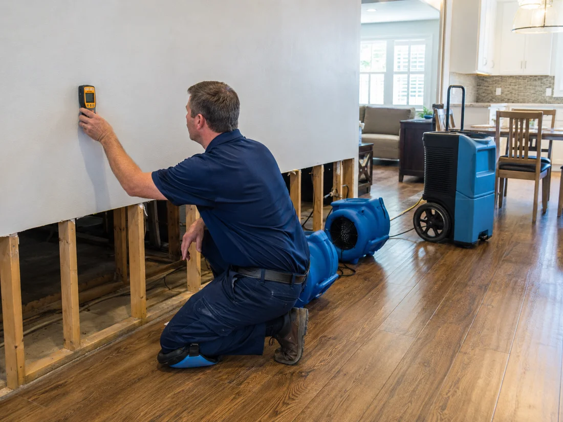 Restoration technician checking wall moisture with air movers and a dehumidifier in the room