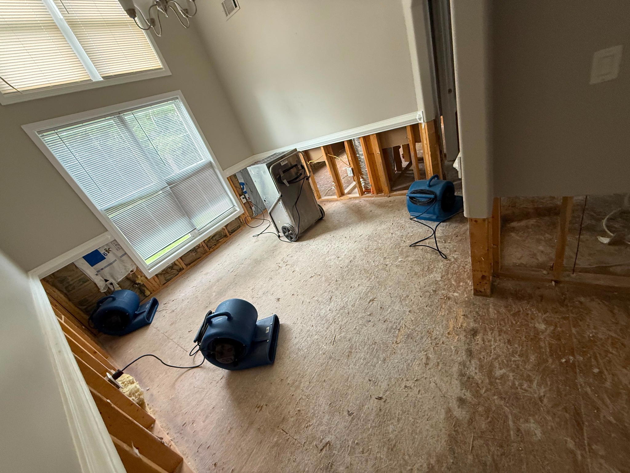 Room with exposed lower wall framing, several blue air movers and a dehumidifier.